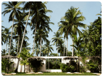 Lush Green Environment
